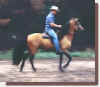 RIDE_RET.JPG (16272 bytes)