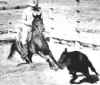 cut_paso.jpg (16293 bytes)